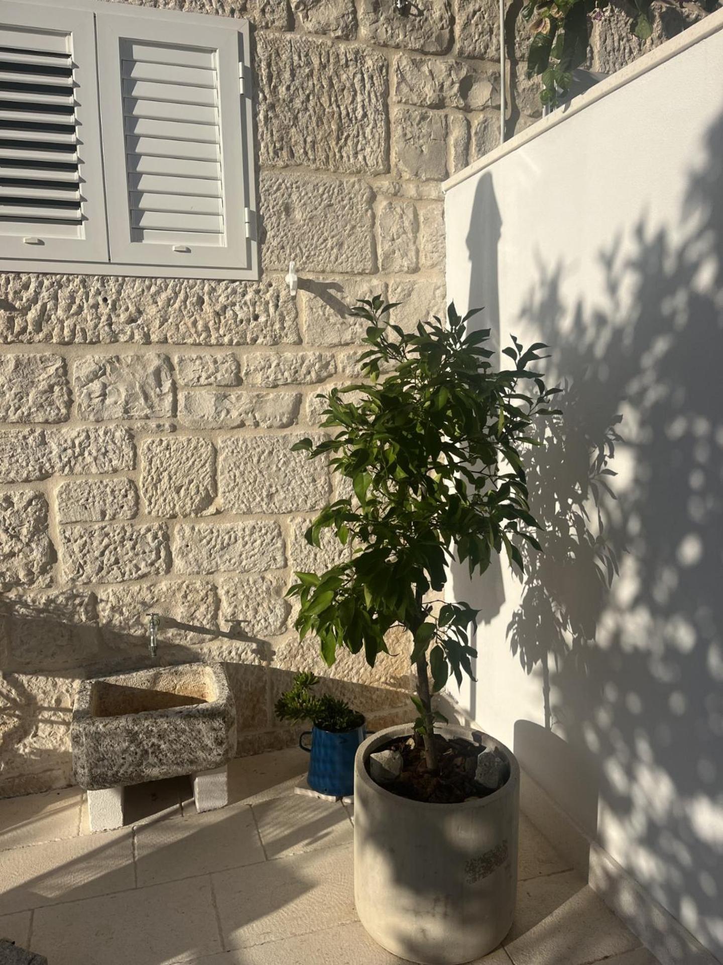 Apartment On The Sunny Side Korčula Zewnętrze zdjęcie